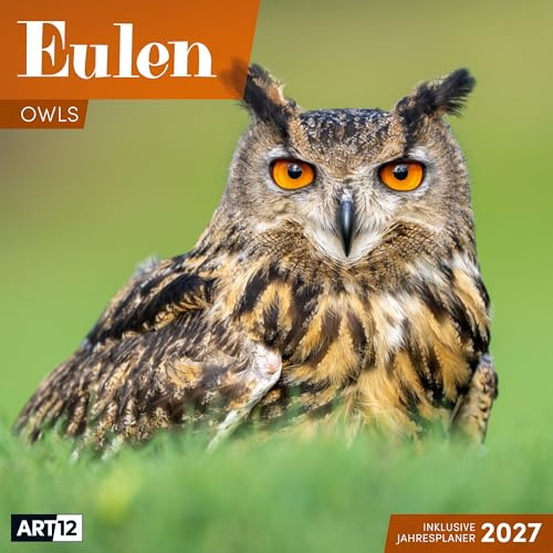 Eulen Broschürenkalender 2027 - 30x30 - Art12 | Stilvoller Tier-Kalender im schlanken Hochformat (aufgeklappt 30x60 cm) | mit Eintrage-Kalendarium