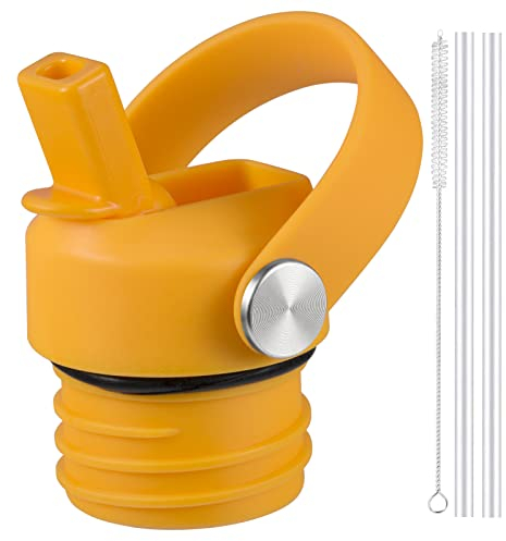 Couvercle à paille pour gourde Hydro Flask standard, couvercle avec pailles pour bouteille d'eau standard, bouchon de sport pour bouteille d'eau de rechange