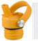 Couvercle à paille pour gourde Hydro Flask standard, couvercle avec pailles pour bouteille d'eau standard, bouchon de sport pour bouteille d'eau de rechange