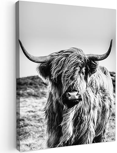 MuchoWow Leinwand Bilder, Einzigartige Wanddeko mit Rahmen, Kuh - Schottischer Hochländer - Schwarz - Weiß - Tier - Natur - Wildtiere, Wandbilder Wohnzimmer, Deko Schlafzimmer 30x40 cm