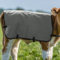 Göbel Kälberdecke 80cm, grau Thermodecke für Junge Kälber als Kälteschutz
