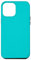 iPhone 12 Pro Max Case turquoise Case
