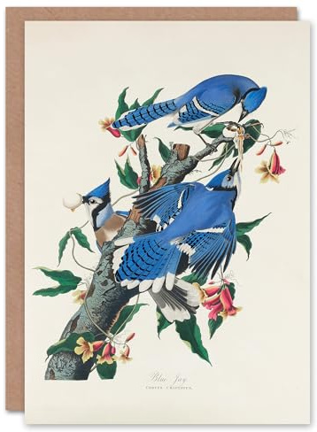 Artery8 John James Audubon Art Card Blue Jay and Trumpet Flowers