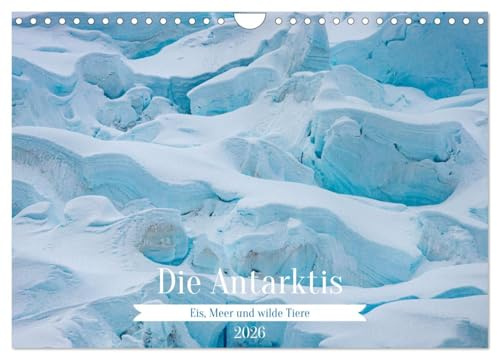 Die Antarktis - Eis, Meer und wilde Tiere (Wandkalender 2026 DIN A4 quer), CALVENDO Monatskalender: Faszinierende Bilder vom südlichsten Kontinent der Erde (CALVENDO Natur)