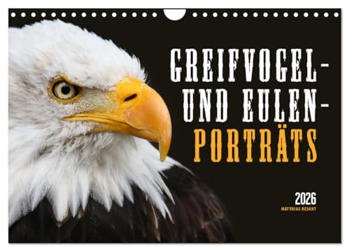 GREIFVOGEL- UND EULENPORTRÄTS (Wandkalender 2026 DIN A4 quer), CALVENDO Monatskalender: Fotos von Adlern, Bussarden und Eulen (CALVENDO Tiere)