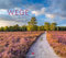 Wege Kalender 2026 | Stilsicherer Landschaftskalender im großen Querformat (54x48 cm) | Traumhafte Pfade in der Natur
