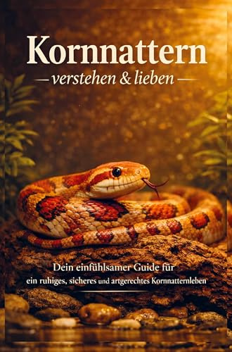 Kornnattern verstehen & lieben: Dein einfühlsamer Guide für ein ruhiges, sicheres und artgerechtes Kornnatternleben