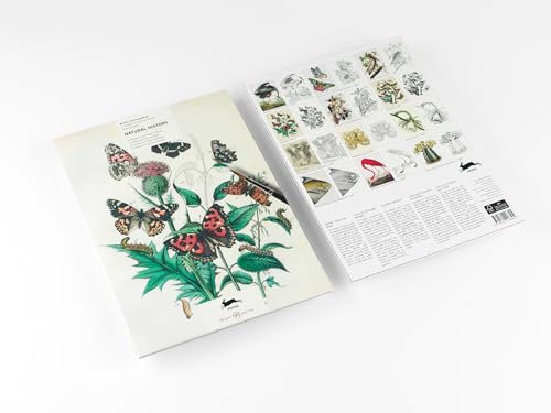 Natural History: Artists' Colouring Book (Artists' Colouring Books)