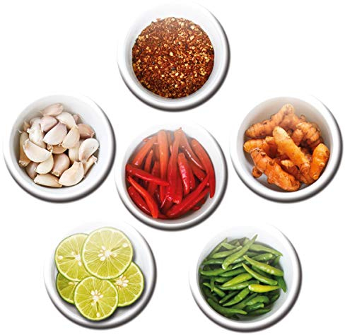 Magnete für Glasmagnettafel Gewürze extra stark 6er Deko Geschenk Set Thailand Küche lustig für Köche Kochfans groß 50mm rund Bunt