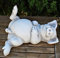 Deko Figur lustiges Schwein auf Rücken liegend L 33 cm/H 11 cm Dekofigur Gartenfigur aus Beton