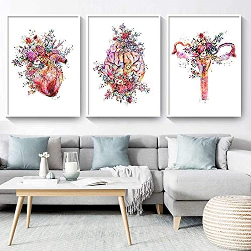 HTWLMM Organe Anatomique Fleurs Affiche Impression sur Toile Anatomie Humaine Cerveau Coeur Poumon Peintures Decoration Murale Art Tableaux Clinique Bureau Décor sans Cadre (C,3X60X80CM)