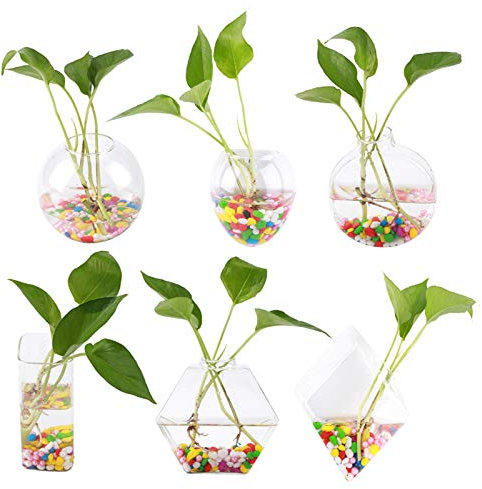 Jardinière en Verre Murale Verre Suspendu Propagation de Plantes Hydroponiques Terrariums Conteneur D'aquarium Hydroponique Mural Plantes Suspendues Fleurs Vase en Verre Mariages, Douches,(hexagone)