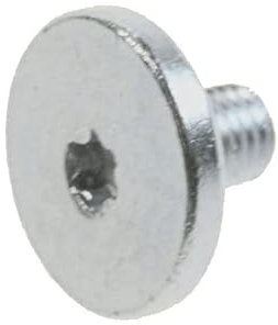 VIS pour FOUR BOSCH - 00621731