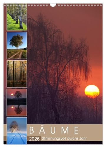 Bäume - Stimmungsvoll durchs Jahr (Wandkalender 2026 DIN A3 hoch), CALVENDO Monatskalender: 12 stimmungsvolle Portraits von Bäumen begleiten Sie durchs Jahr (CALVENDO Natur)