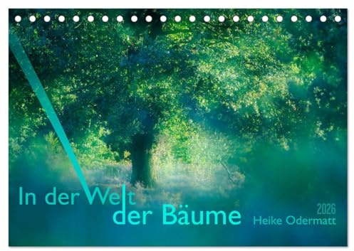 In der Welt der Bäume (Tischkalender 2026 DIN A5 quer), CALVENDO Monatskalender: Bäume, unsere wunderbaren Weggenossen. (CALVENDO Natur)