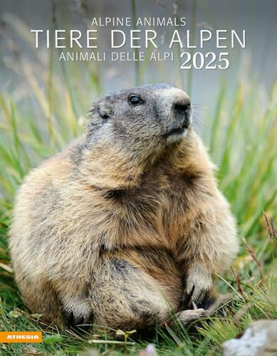 Tiere der Alpen - Kalender 2025: Animali delle Alpi – Alpine animals