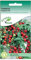 Red Cherry Tomato Seeds Chiquita Pot Solanum Lycopersicum 50 Seeds Grow Your Own Vegetable Ideal for Greenhouse or Garden Growing in Raised Beds Polytunnel Growbags or Large Pots and Containers