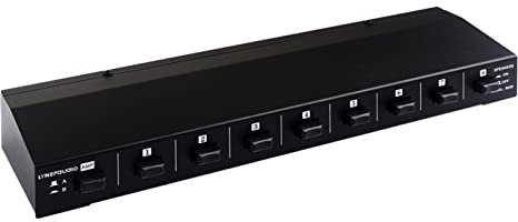 burko Amplificatore di potenza B028 con 2 ingressi e 8 uscite e commutatore della scatola dell'altoparlante, dispositivo di distribuzione dell'altoparlante a 8 canali, interruttore dell'altoparlante,