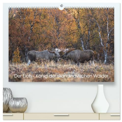 Der Elch - König der skandinavischen Wälder (hochwertiger Premium Wandkalender 2026 DIN A2 quer), Kunstdruck in Hochglanz: Der Elch ist der König in den skandinavischen Wäldern (CALVENDO Tiere)