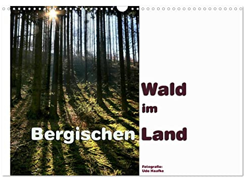 Wald im Bergischen Land 2026 (Wandkalender 2026 DIN A3 quer), CALVENDO Monatskalender: Die Wälder des Bergischen Landes bieten Erholung für Auge und Gemüt (CALVENDO Natur)