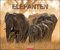 Elefanten Kalender 2021: Elephants