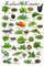 1art1 Kochkunst Küchen-Kräuter Selbstklebende Fototapete Poster-Tapete 180x120 cm
