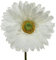 Varie Kunstblumen Gerbera 50cm x 1 Stück weiß künstliche Blumen Hochzeit Verschiedene Gerbera Rossa C/Stiel cm.50