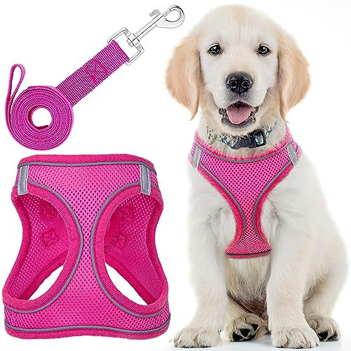 Hundegeschirr + Leine - Groß, Rosa - Weich gepolstert + No-Pull Design Haustiergeschirr + Reflektierende Streifen für kleine + mittelgroße Hunde - von EcoEarth
