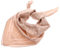 GUESS Emiliee Scarf Rosewood Logo