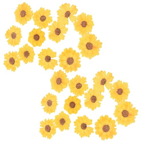 Lurrose 24St DIY Prägung Trockenblumen für Handyhüllen Nageldekor gepresste selber Machen Bastelmaterial selber Machen natürlich schmücken Haushaltsprodukte getrocknete Blumen