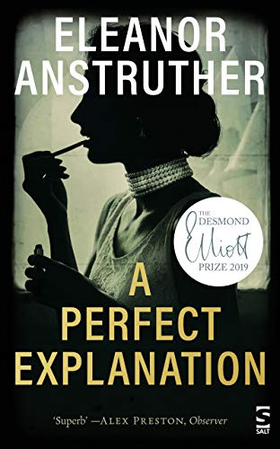 A Perfect Explanation: Longlisted for the 2019 Not the Booker Prize (Salt Modern Fiction)