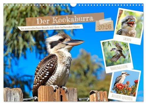 Der Kookaburra - Im australischen Busch mit dem lachenden Hans (Wandkalender 2026 DIN A3 quer), CALVENDO Monatskalender: KI-generierte Einblicke in das Kookaburra-Leben im Outback (CALVENDO Tiere)