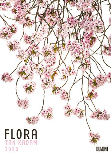 Flora 2020 – Blumen-Kalender von DUMONT– Foto-Kunst – Poster-Format 49,5 x 68,5 cm
