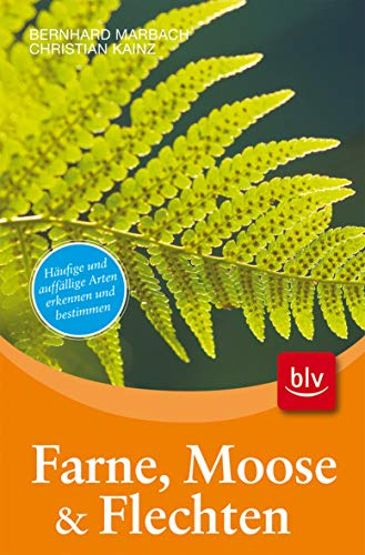 Farne, Moose & Flechten: Häufige und auffällige Arten erkennen und bestimmen