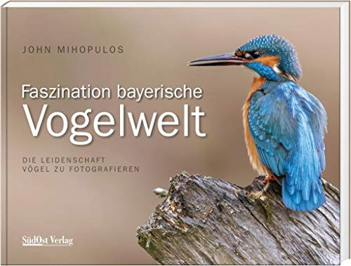 Faszination Bayerische Vogelwelt: Die Leidenschaft Vögel zu fotografieren