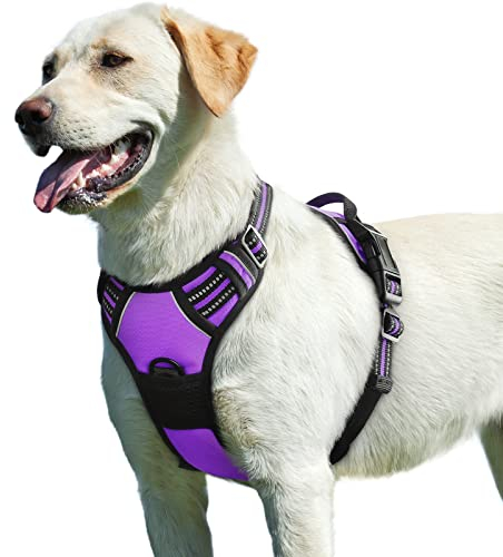 Eagloo Hundegeschirr Grosse Hunde, Anti Zug Hundegeschirr mit Reflexstreifen und Kontrolle, Verstellbar und Einstellbar Geschirr Hund Groß, Brustgeschirr für Labrador, Lila, L