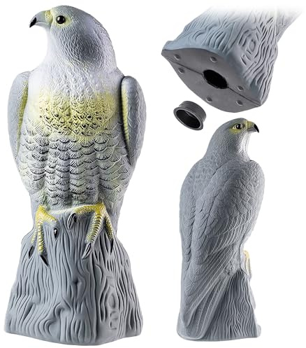 KADAX Répulsif pour Oiseaux en Plastique, Faucon réaliste, Oiseau de rapaction, Oiseau prédateur factice, répulsif Contre Les Oiseaux, Anti-Pigeons, Lutte Contre Les nuisibles Naturel