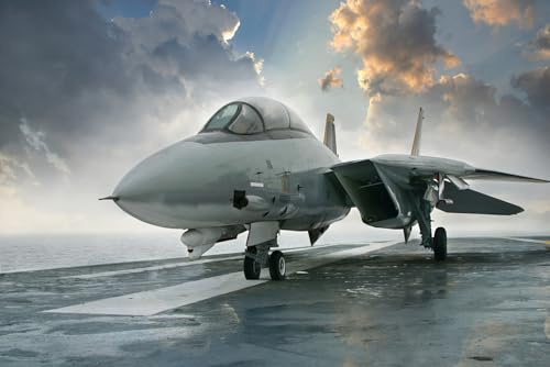 Puzzle für Erwachsene 1000 Teile F14 Tomcat Supersonic Twin Engine Fighter Jet Foto Familie Lustige Herausfordernde Urlaub Puzzles für Erwachsene Puzzle Geschenk für Frauen Männer Senioren