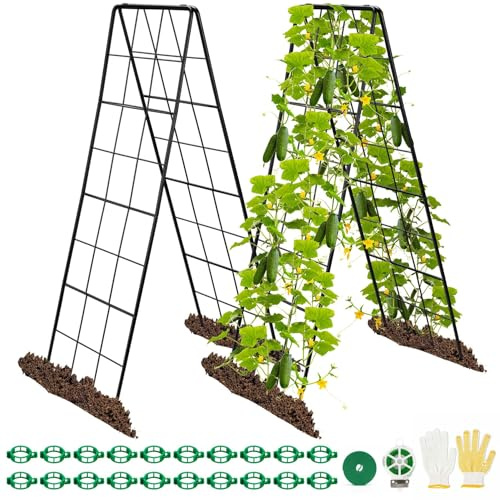 Rankgitter für Kletterpflanzen im Freien, 121,9 cm, Garten-Rankgitter für erhöhten Garten, 2 Stück, Metall-Klettergerüst, Rankgitter für Gurken, Tomaten, Trauben, Kletterpflanzen und Blumen
