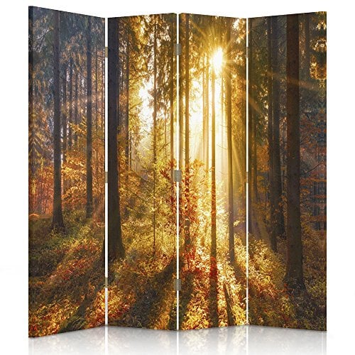 Feeby Paravent Wald Baum Natur Sonne 4 Teilig 145x150 cm Modern Design Einseitig Raumteiler Wandschirme Foto Trennwand Raumtrenner Sichtschutz Spanische Wand Auf Leinwand Bedruckt Braun