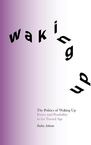 The Politics of Waking Up: Power and Possibility in the Fractal Age