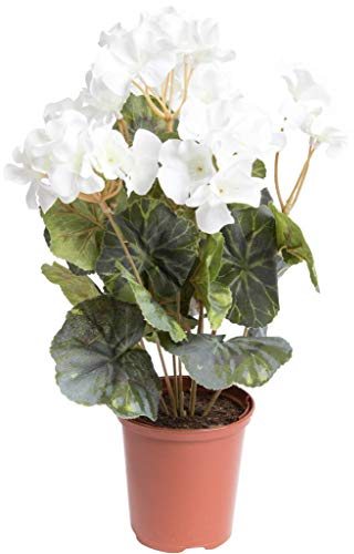 Flora-Seta künstliche Geranie (Geranienbusch) mit 7 Stielen und 3 kleinen und 4 größeren Blütenköpfen im Kunststofftopf (Creme-weiß)