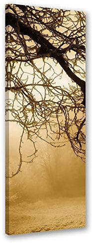 Feeby Leinwandbild Baum Bild Kunstdruck Nebel Braun 50x150 cm
