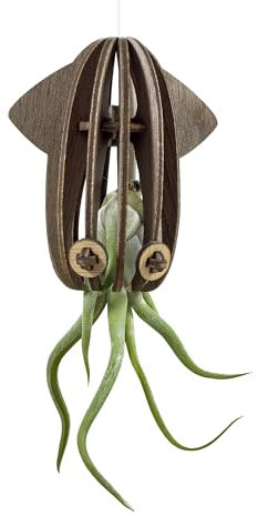 VEKULI Luftpflanzenaufhänger Tintenfisch - Einzelhalter für Tillandsien mit Meeresmotiv