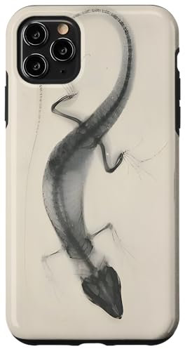 Hülle für iPhone 11 Pro Max Röntgenaufnahme von Josef Maria Eder und Eduard Valenta