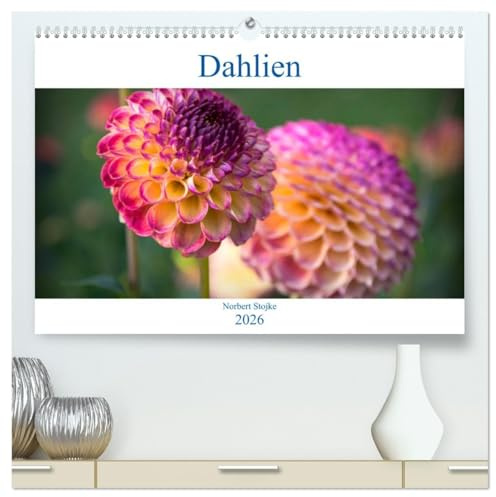 Dahlien - Blumenwunder der Natur (hochwertiger Premium Wandkalender 2026 DIN A2 quer), Kunstdruck in Hochglanz: Dahlien begeistern den Blumenfreund mit ihrer Vielfalt (CALVENDO Natur)