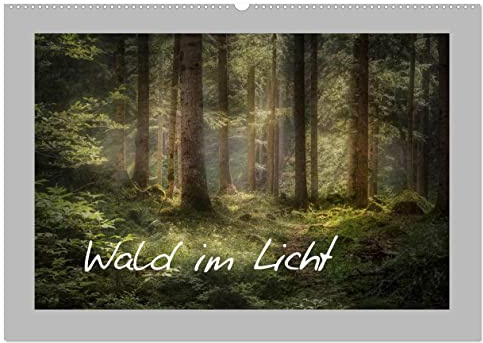 Wald im Licht (Wandkalender 2026 DIN A2 quer), CALVENDO Monatskalender: Leuchtende Wälder im Jahreskreis (CALVENDO Natur)