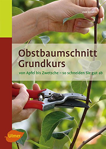 Obstbaumschnitt Grundkurs: Von Apfel bis Zwetsche. So schneiden Sie gut ab