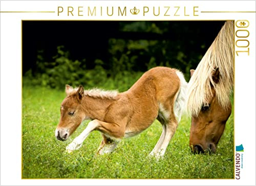 CALVENDO Puzzle EIN Motiv aus dem Kalender Ponys, die starken Persönlichkeiten | 1000 Teile Lege-Größe 64 x 48 cm Foto-Puzzle für glückliche Stunden