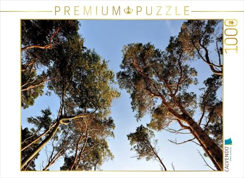 CALVENDO Puzzle Das Abendlicht bringt die Bäume zum Leuchten | 1000 Teile Lege-Größe 64 x 48 cm Foto-Puzzle für glückliche Stunden